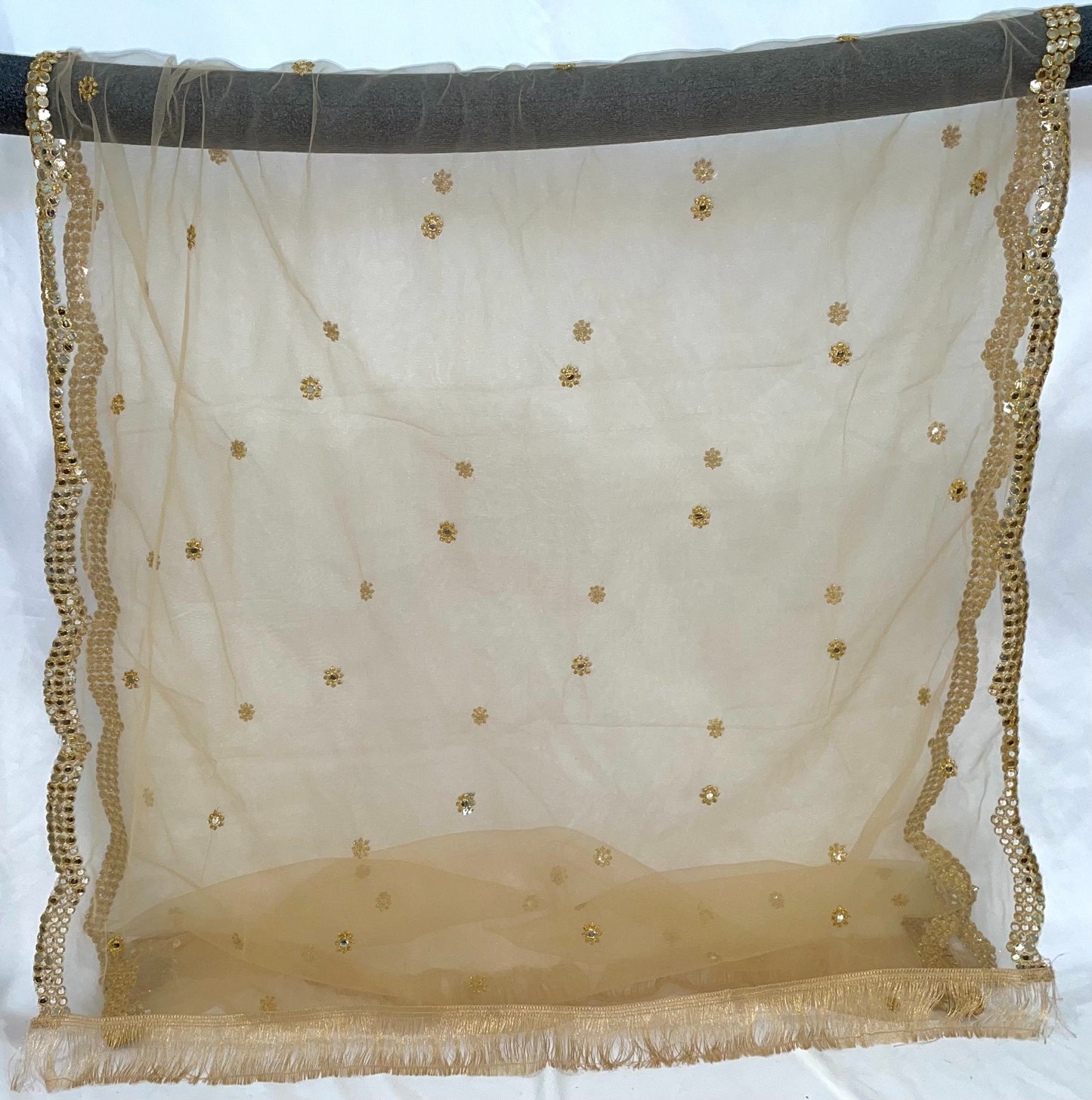 Beige Net Zari Dupatta