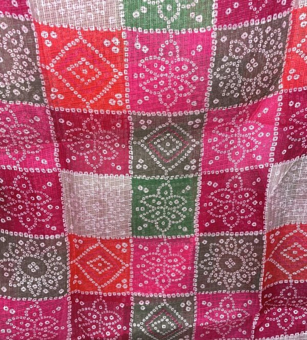 Multicolor Rajasthani Organza Dupatta