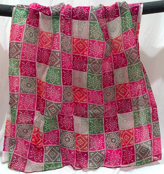 Multicolor Rajasthani Organza Dupatta