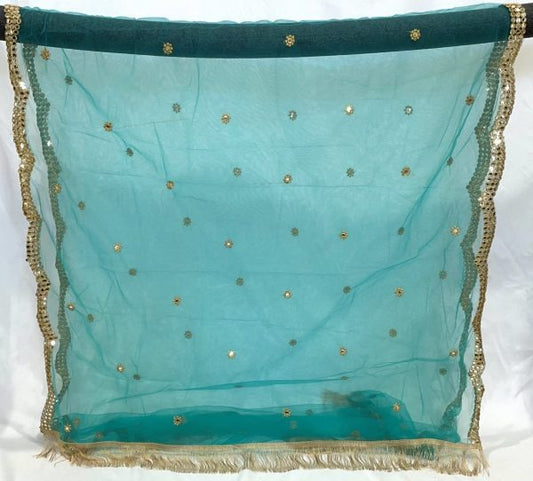 Aqua Green Net Zari Dupatta