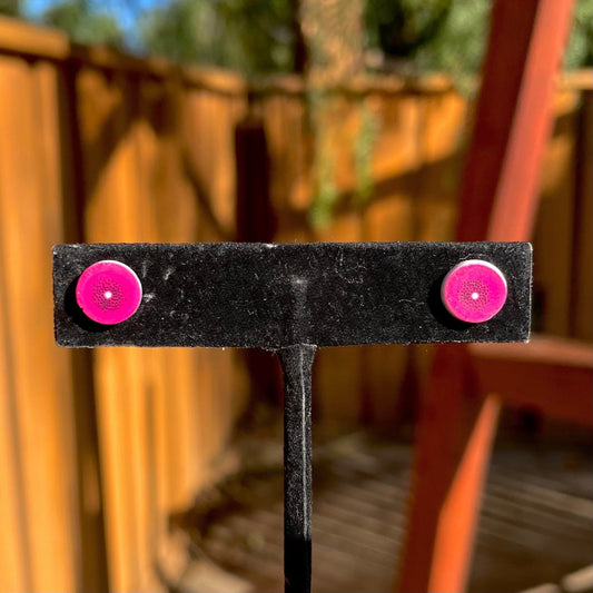 Fruit Stud Earrings